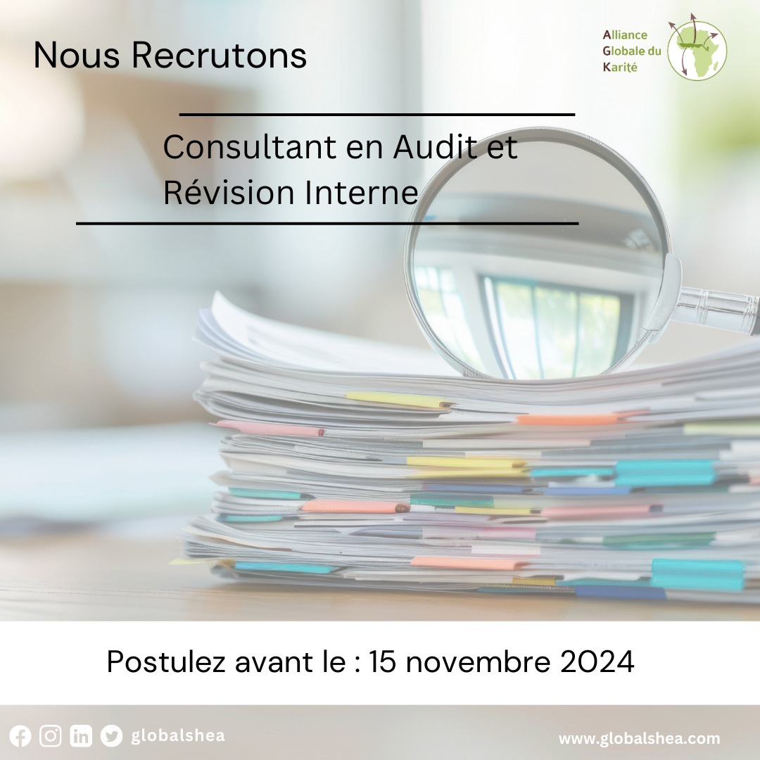 Consultant en audit et révision interne